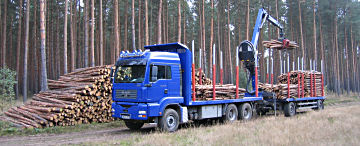 Holzabfuhr im Stadtwald
